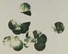 20120323201009-collotype