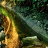 20120323202129-barton_creek_reflection
