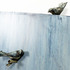 20120324151737-velliky__cristen_9_fjord