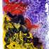 20120324172837-2009-jod014_purple_play_2