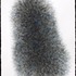 20120324190155-colony1
