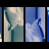 20120324190657-ps1_copy
