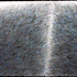 20120324193142-meet