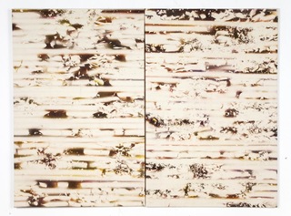 Trash - Zaps Diptych,Niall McClelland