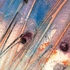 20120325020409-strata_series_i