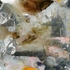 20120326232337-reflection_i