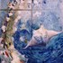20120326235054-manta__6sections_