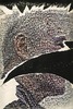 20120327002743-_publish_worksimages_chip_simone_9276_exhibitfeature_w
