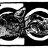 20120327015519-extincion3web