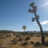 20120327033955-artslant-1-shangrila