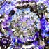 20120327074726-bhramastr_36_x_36_inches_acrylic_on_canvas