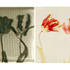 20120327181343-a_shadow_of_my_former_self_flat