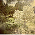 20120327181736-joshuatree_2