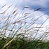 20120327182428-herethere_3