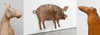 20120327211700-bill_wallpig_monteii_emailprimage_150