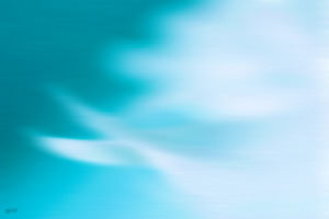 20120328062102-wings_lg