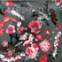 20120328074946-_dsc0607__1280x1217_