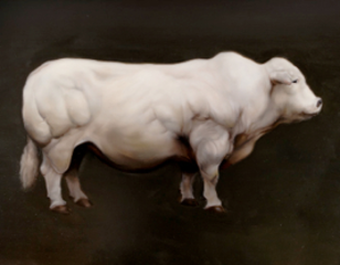 Belgian Blue ,Hugo Wilson