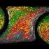 20120328110847-2011-cw009_deep_thoughts_reduced