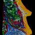 20120328112629-2011-cw004_aspects_of_woman_reduced
