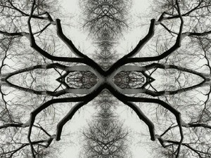 20120328175607-winter-tree-31-e1316789397546