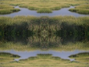 20120328175652-marsh-3-e1316788496475
