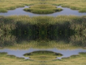 20120328175726-marsh-4-e1316788480446