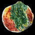 20120328201004-2010-ws002_energy_reduced