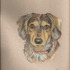 20120328202901-dog_4_steve
