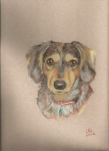 20120328202901-dog_4_steve