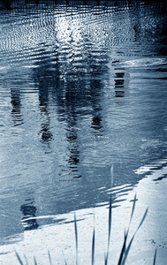20120328204826-katinadesmond_elusiveix