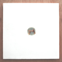 Little White Lie,Daina Mattis