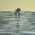 20120328210533-vonn-sumner-float