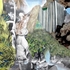 20120328225843-img_resize