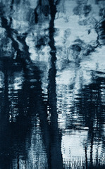 Elusive VII,Katina Desmond