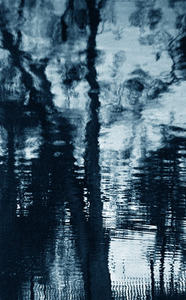 20120328231925-katinadesmond_elusivevii-cc