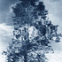 20120328232122-katinadesmond_elusivexxii-cc