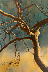 Definitive,Katina Desmond