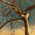 20120328232411-katinadesmond_definitive