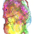 20120329022903-drawing_specimen_04