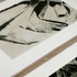 20120329032922-uneditedphoto