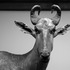 20120329121359-dscn0183