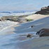20120329121434-la_jolla_shores_small