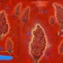 20120329140332-sumacenergyfield