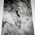 20120329140557-untitled_from_the_silueta__4