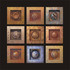 20120329141341-1b_-_pulse_synergy