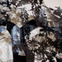 20120329143159-07--32812