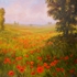 Poppy_medley