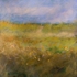 Overlooking_the_dunes