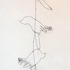 20120330133720-cooper_s_hawk_completes_the_circuit_